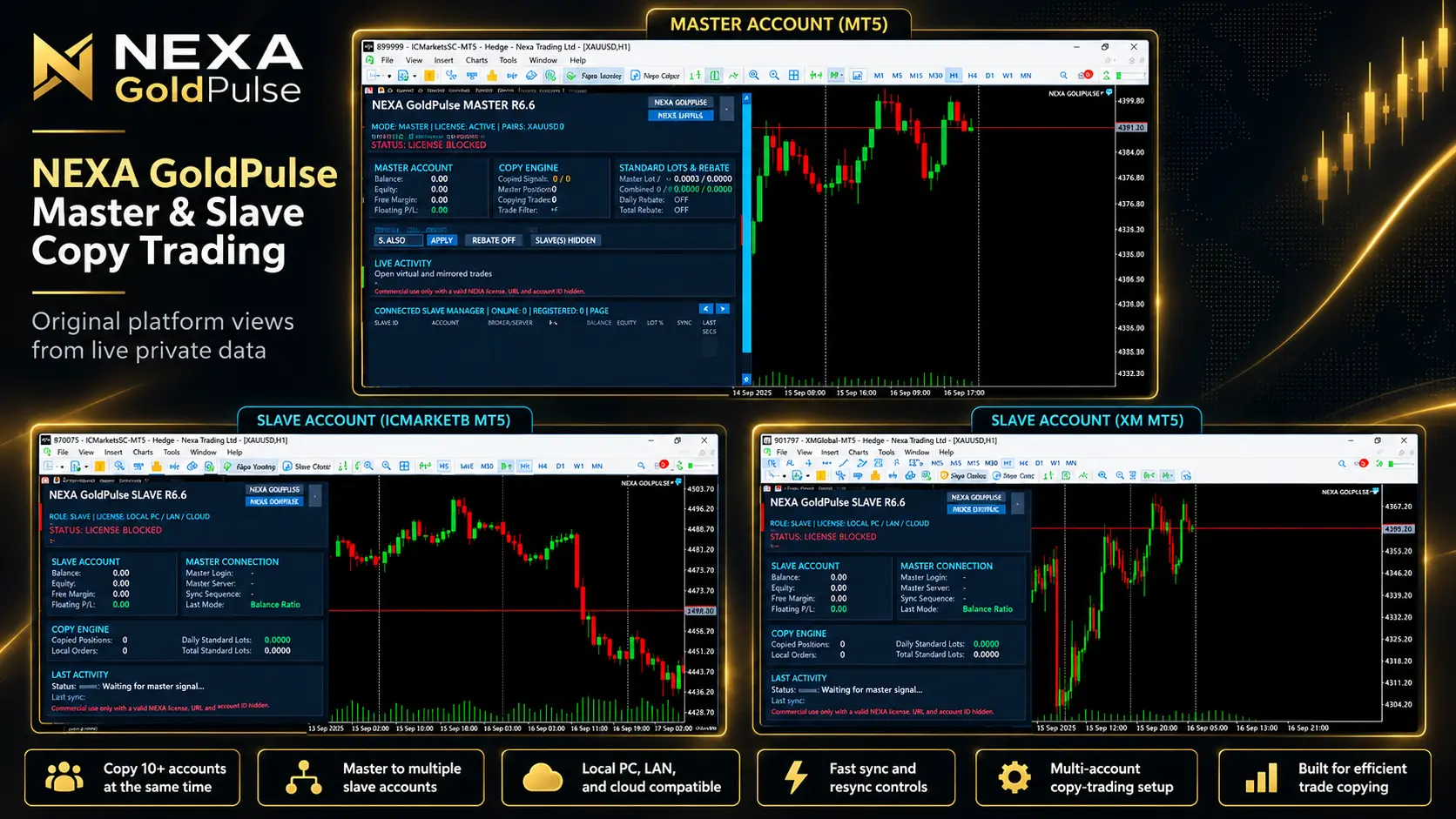 NEXA GoldPulse Master and Slave copy trading visual
